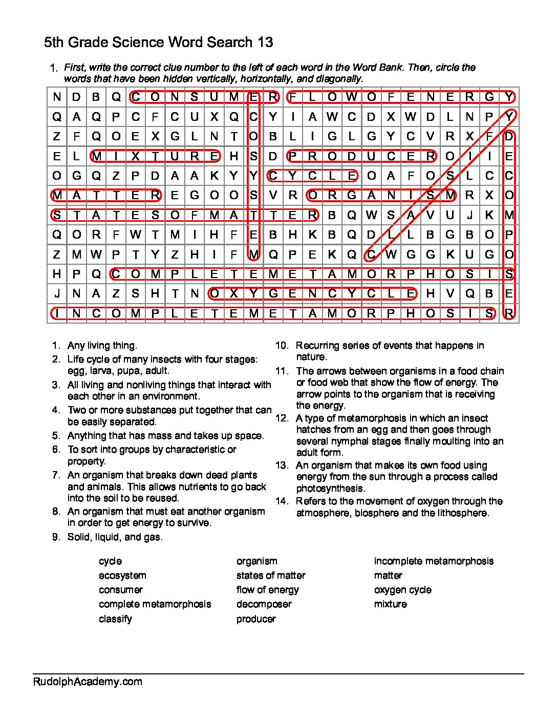 Science Word Search 4th Grade